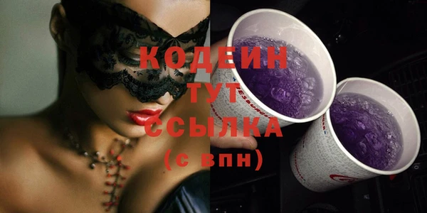 трава Инта