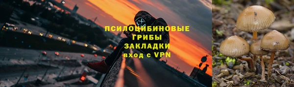 мдпв Иннополис