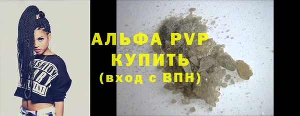 трава Инта