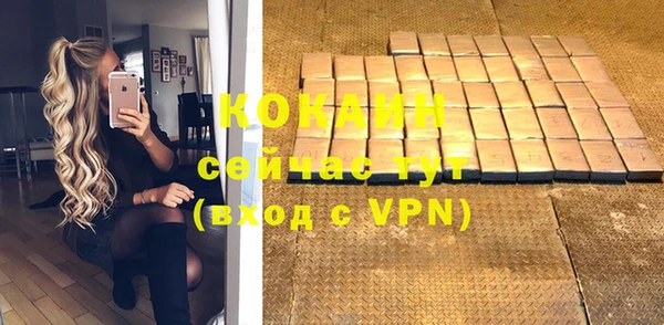 трава Инта