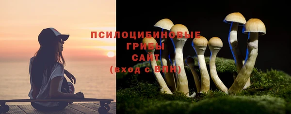 трава Инта