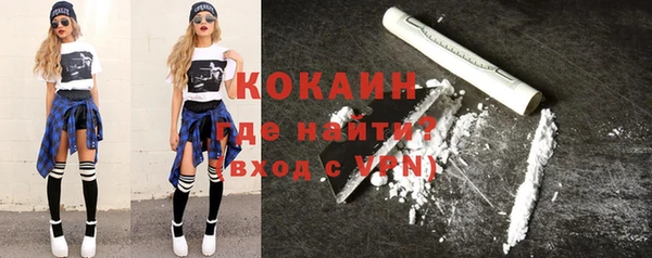 трава Инта